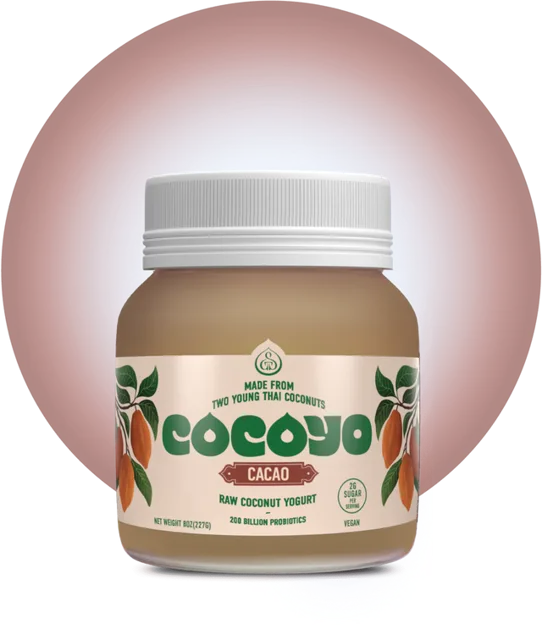 GT’s Living Foods COCOYO Living Coconut Yogurt, Cacao