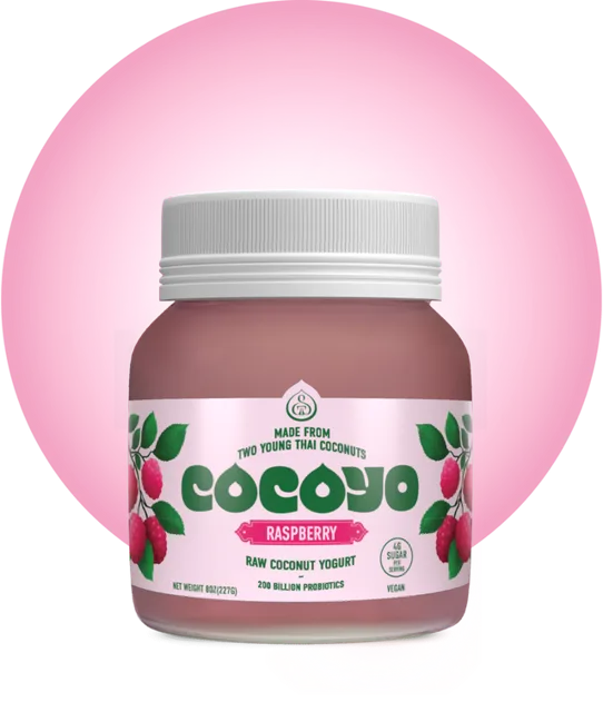 GT’s Living Foods COCOYO Living Coconut Yogurt, Raspberry