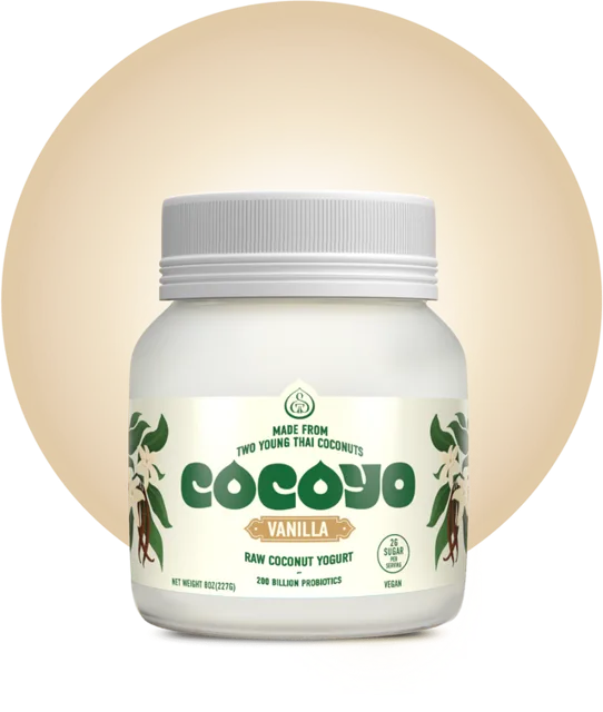 GT’s Living Foods COCOYO Living Coconut Yogurt, Vanilla