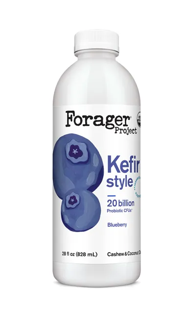 Forager Project Blueberry Cashew & Coconut Kefir Style Drink
