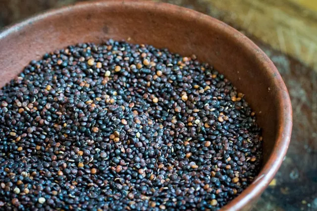 Rancho Gordo Quinoa, Black